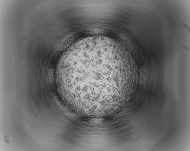 X0000099930410200806131407