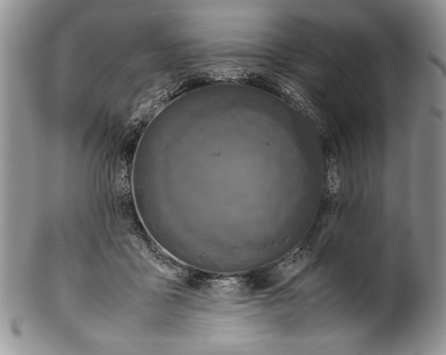 X0000099930411200806131407