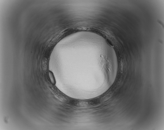 X0000099930413200806131407