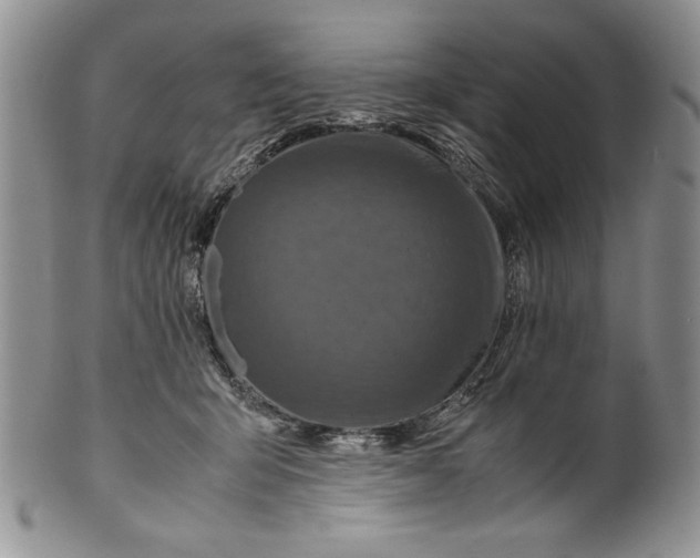 X0000099930415200806131407