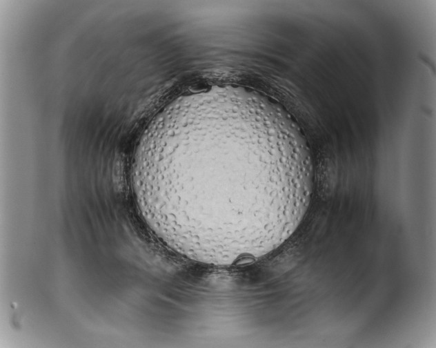 X0000099930416200806131407