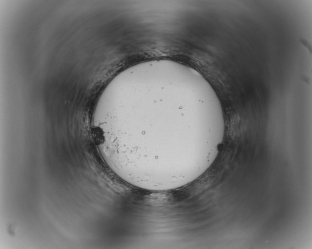 X0000099930418200806131407