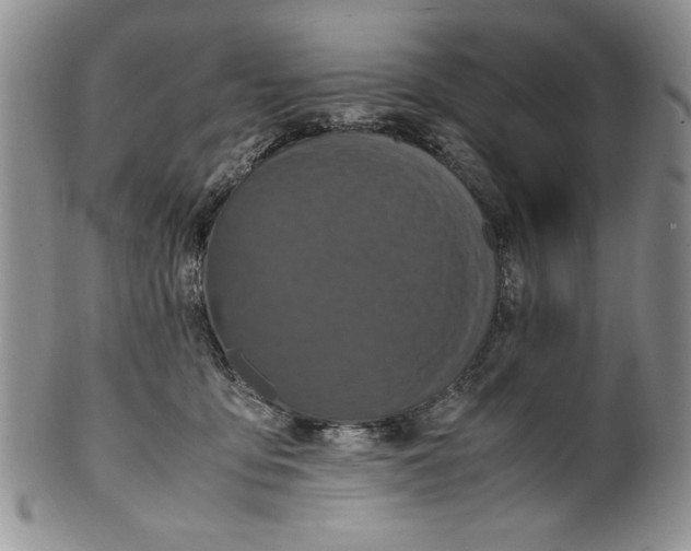 X0000099930419200806131407