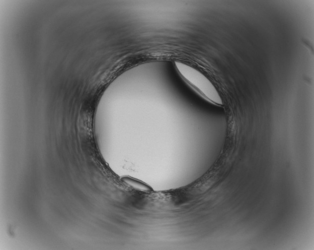 X0000099930421200806131407