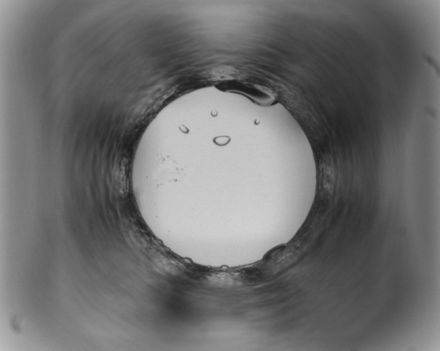 X0000099930422200806131407