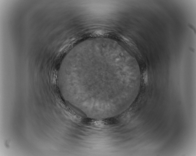 X0000099930423200806131407