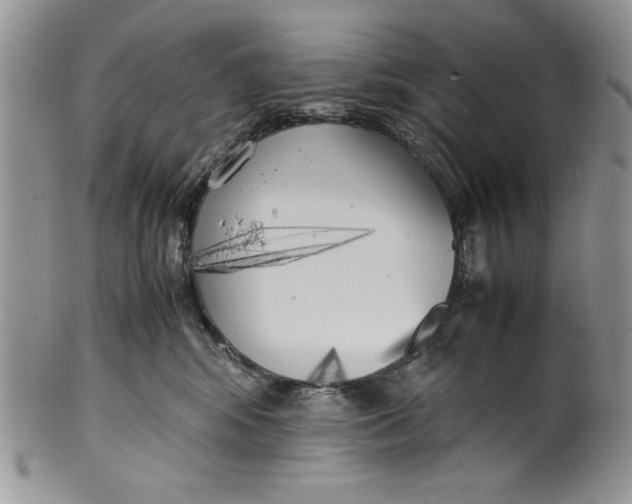 X0000099930424200806131407