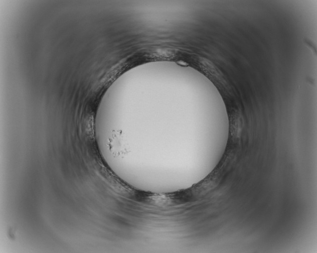 X0000099930425200806131407