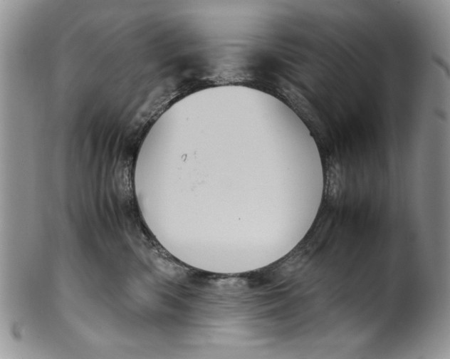 X0000099930426200806131407