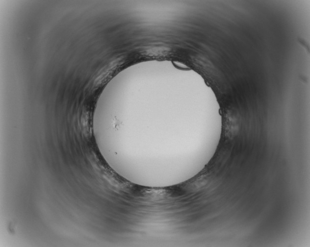 X0000099930428200806131407