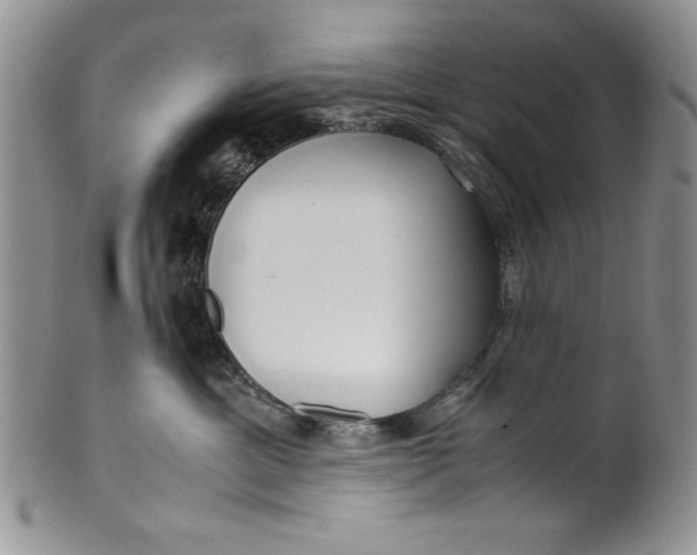 X0000099930429200806131407