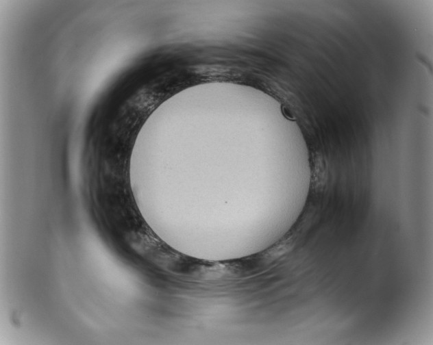 X0000099930430200806131407