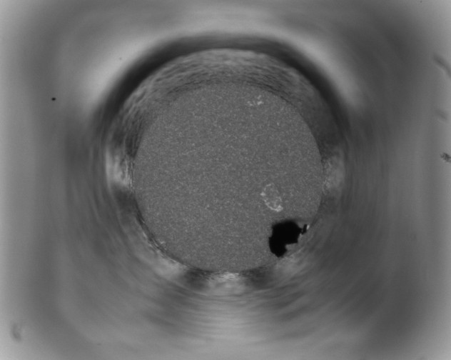 X0000099930431200806131407