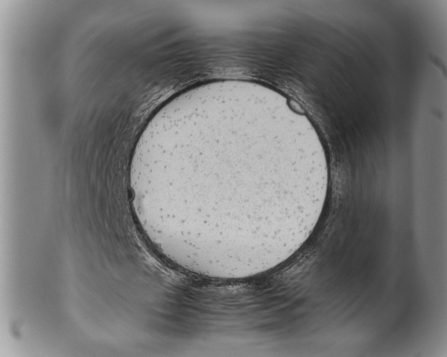 X0000099930433200806131406