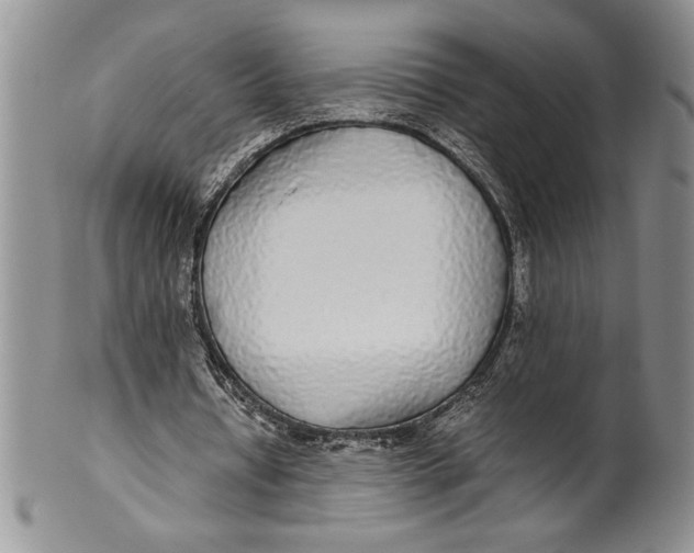 X0000099930434200806131406