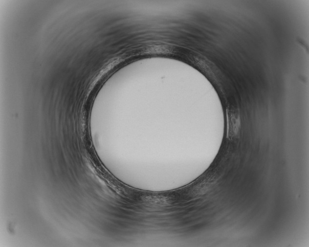 X0000099930435200806131406