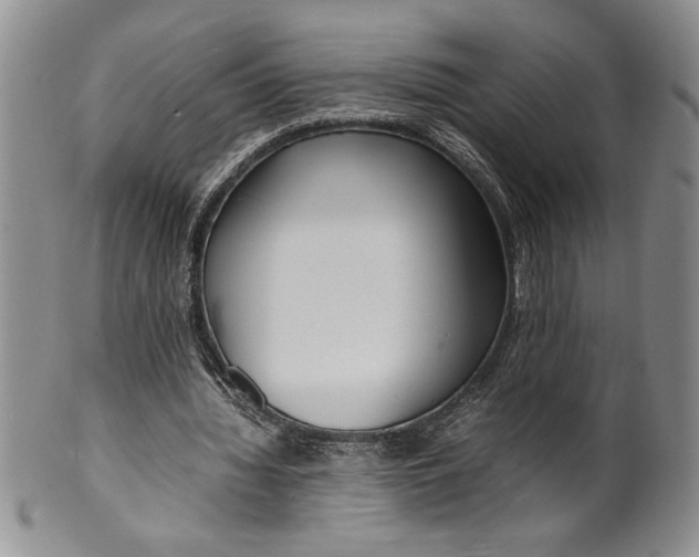 X0000099930436200806131406