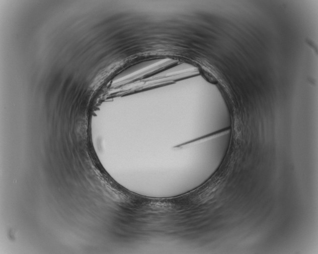 X0000099930437200806131406