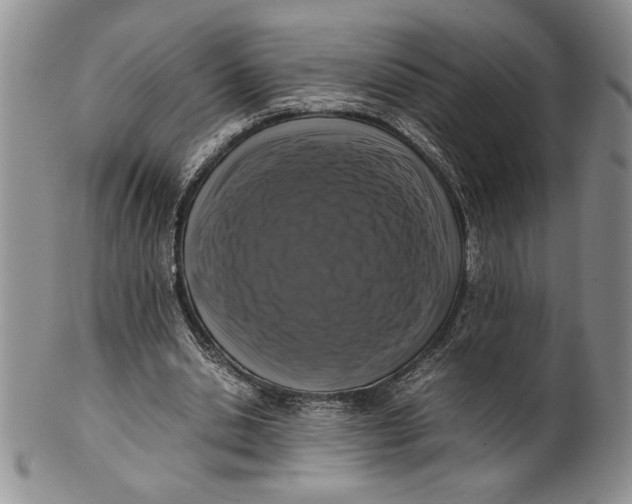 X0000099930438200806131406