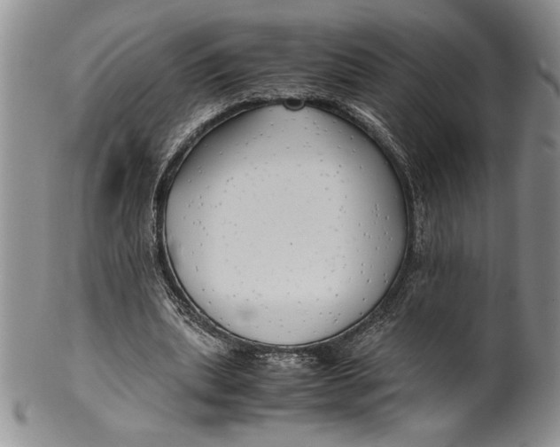 X0000099930439200806131406