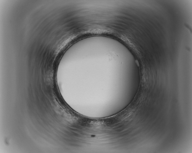 X0000099930440200806131406