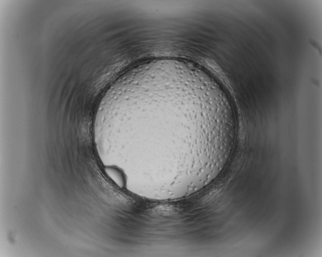 X0000099930441200806131406