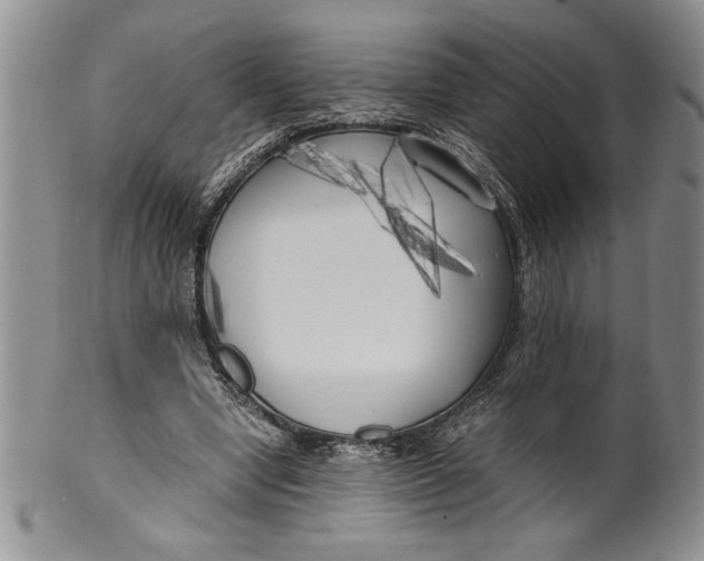 X0000099930442200806131406