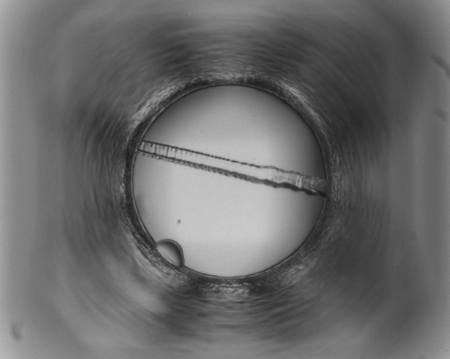 X0000099930443200806131406