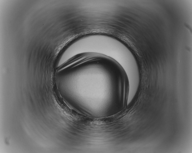 X0000099930444200806131406