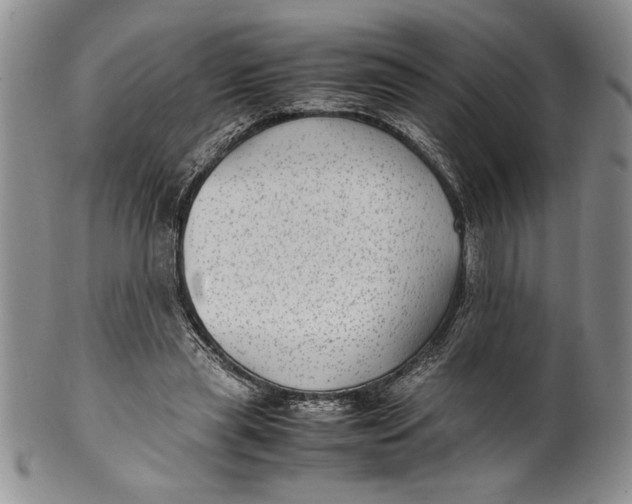 X0000099930445200806131406