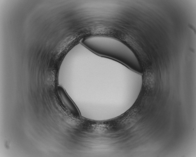 X0000099930448200806131406