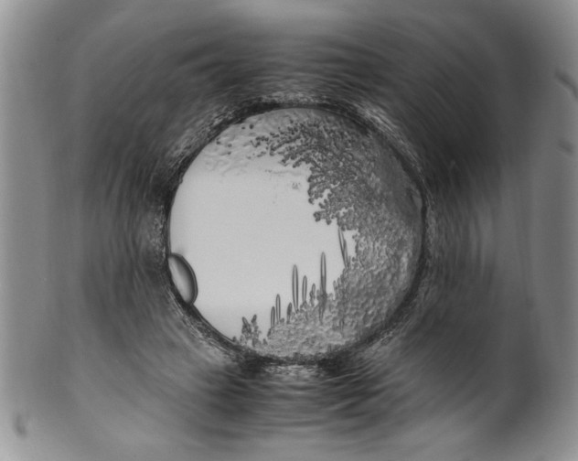 X0000099930449200806131406