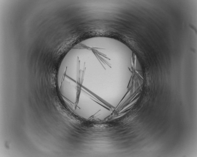 X0000099930450200806131406