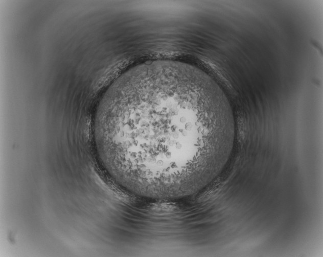 X0000099930451200806131406