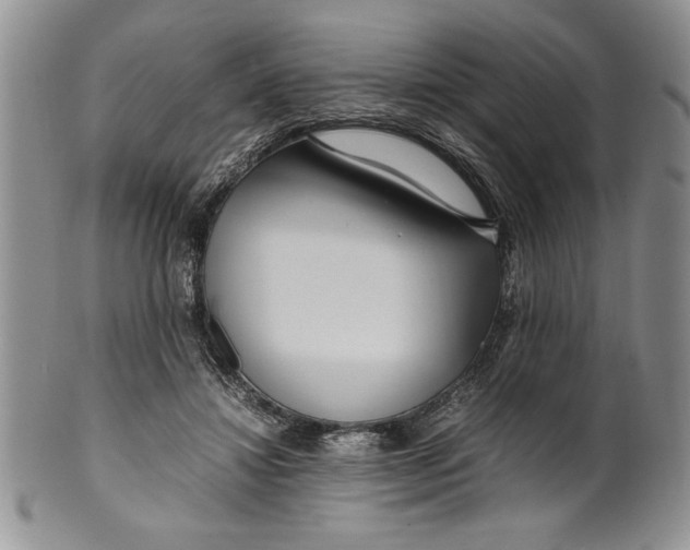 X0000099930452200806131406