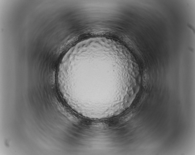 X0000099930454200806131406