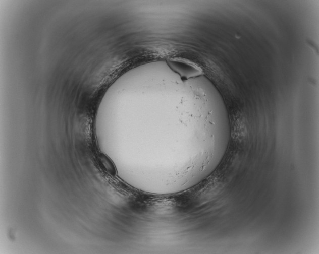 X0000099930456200806131406