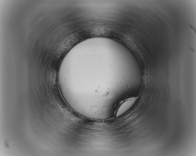 X0000099930458200806131406