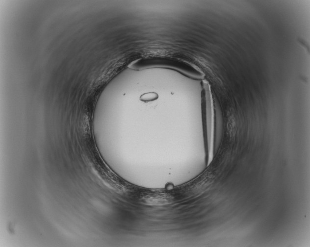 X0000099930459200806131406