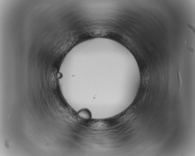 X0000099930460200806131406