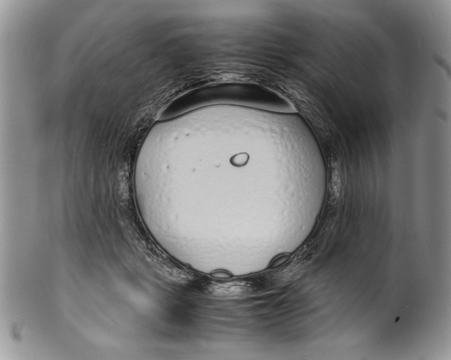 X0000099930461200806131406