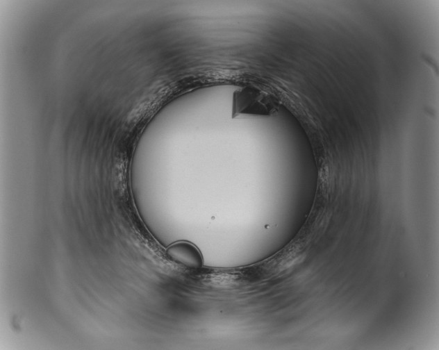 X0000099930462200806131407