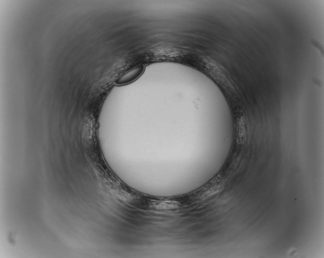 X0000099930463200806131407