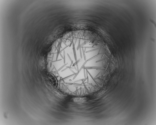 X0000099930465200806131407