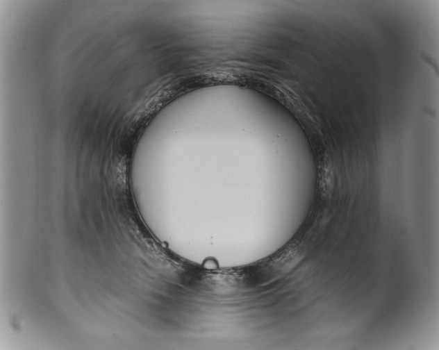 X0000099930466200806131407