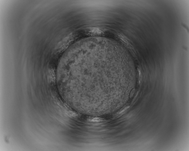 X0000099930467200806131407