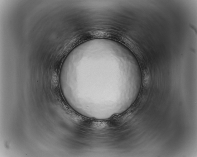 X0000099930469200806131407