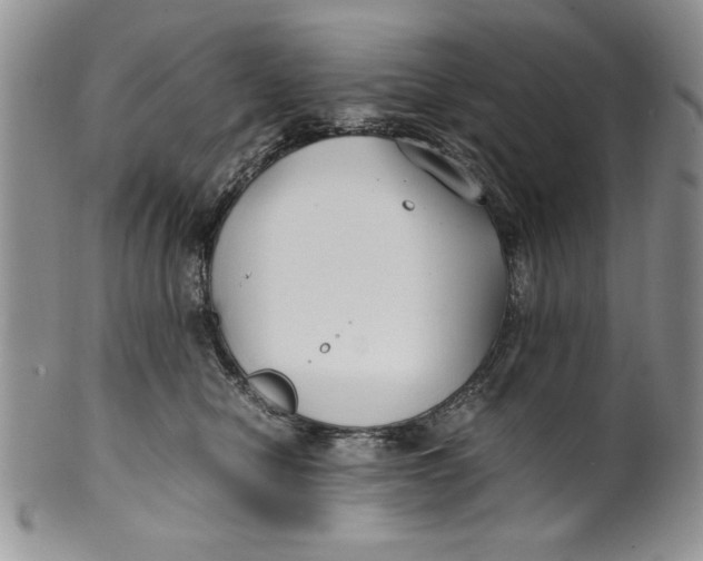 X0000099930470200806131407