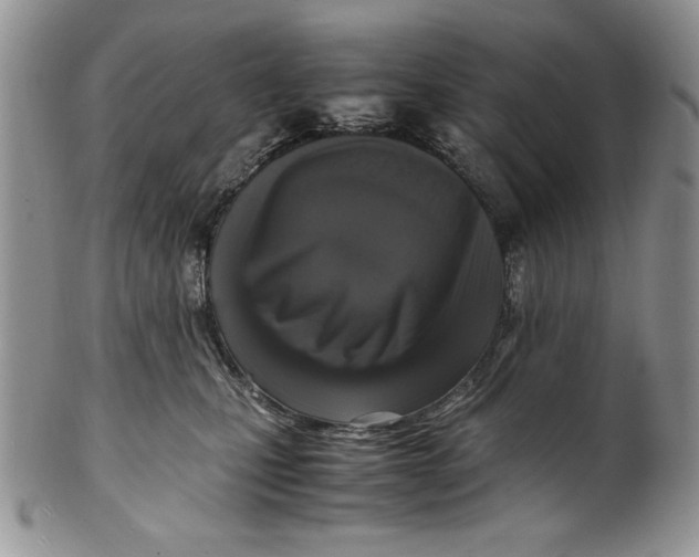 X0000099930471200806131407