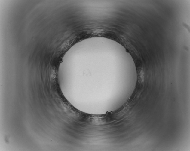 X0000099930472200806131407